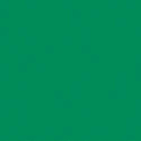 Rainbow Classic Felt 9"X12" Pirate Green